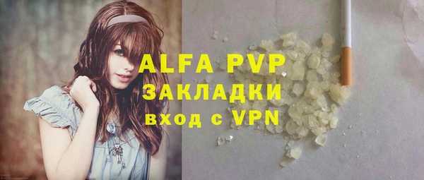 прущий лед Новозыбков