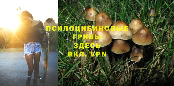 альфа пвп Каменка