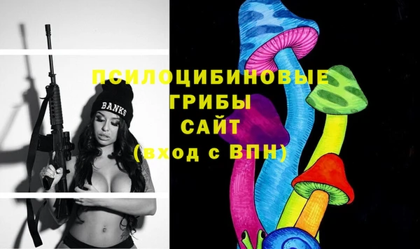 MDMA Premium VHQ Каменногорск