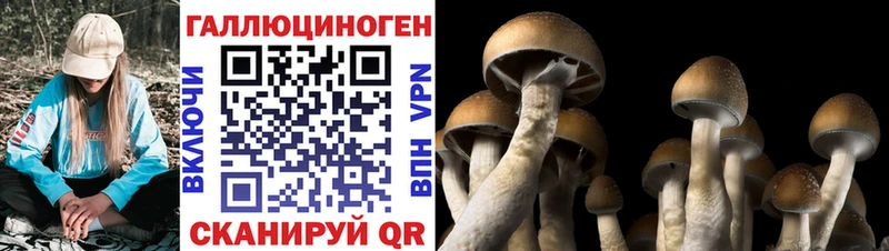 где купить наркоту  ссылка на мегу маркетплейс  Псилоцибиновые грибы Cubensis  Костомукша 